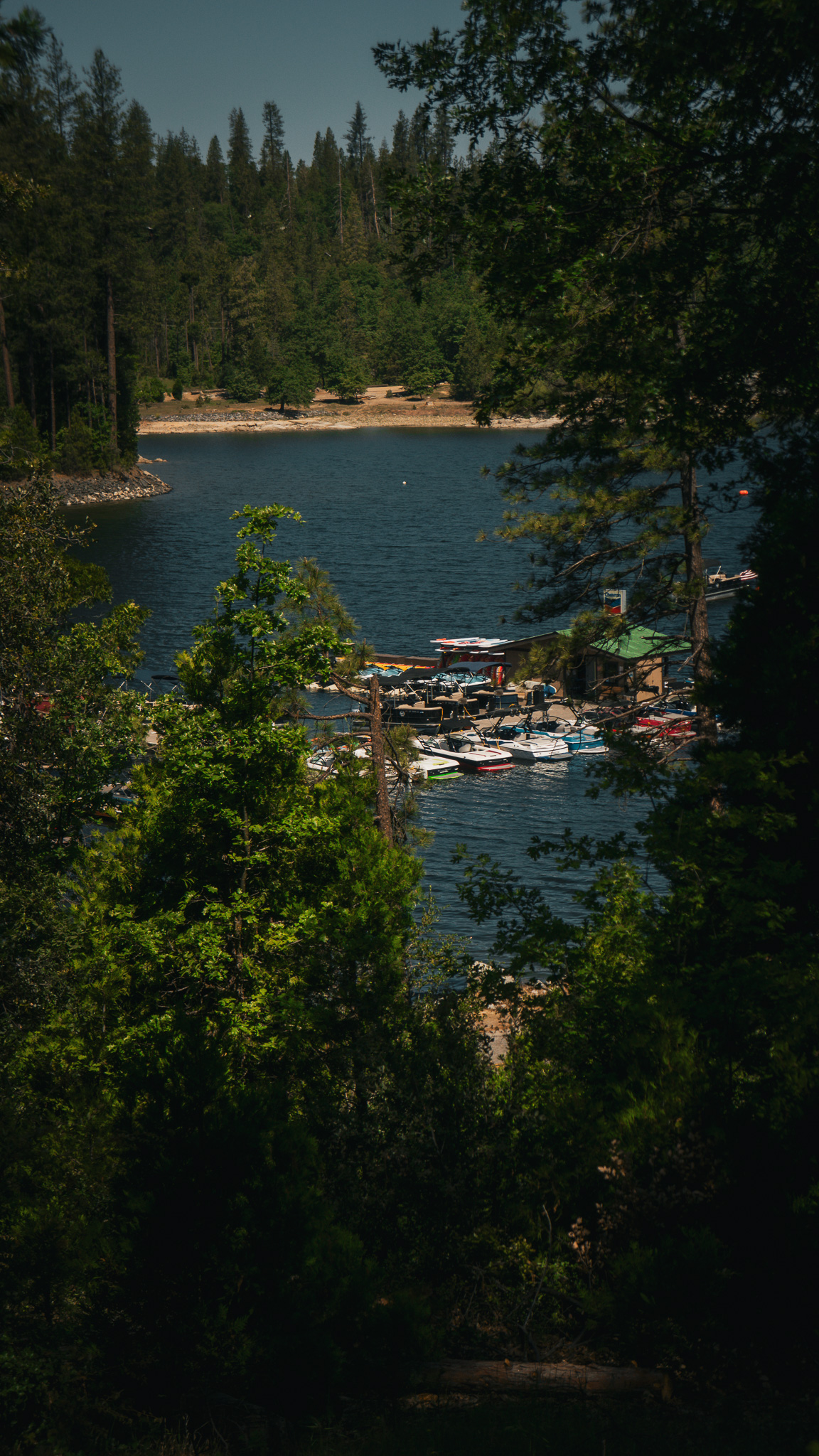 _DSC5943.jpg
