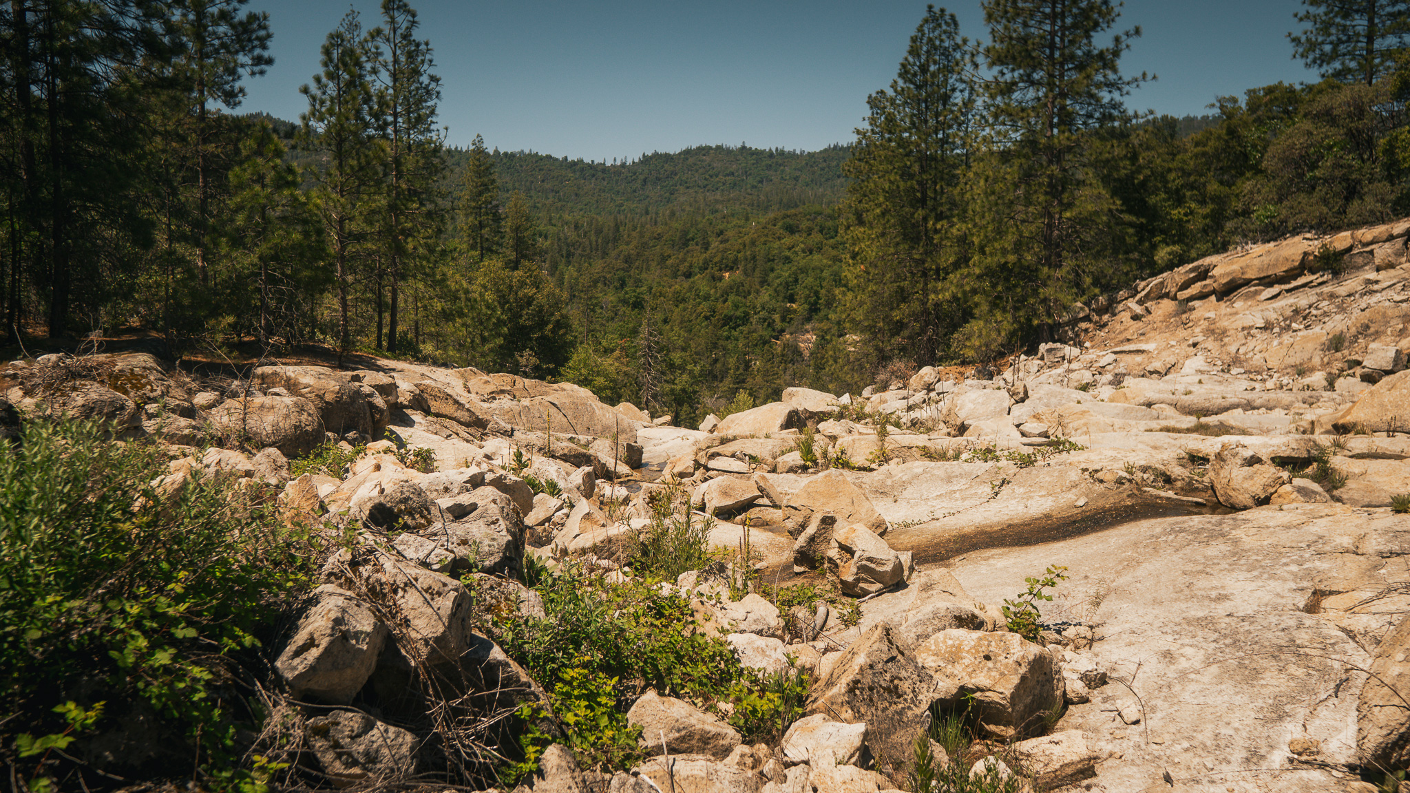 _DSC6763.jpg