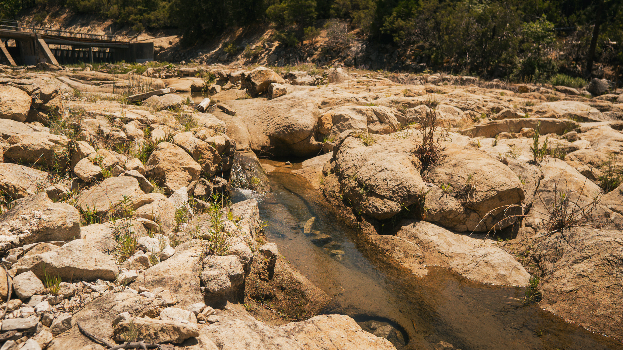 _DSC6886.jpg